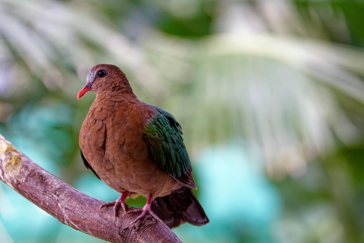 Mastering Racing Pigeon Pricing with Genetic Value Analysis