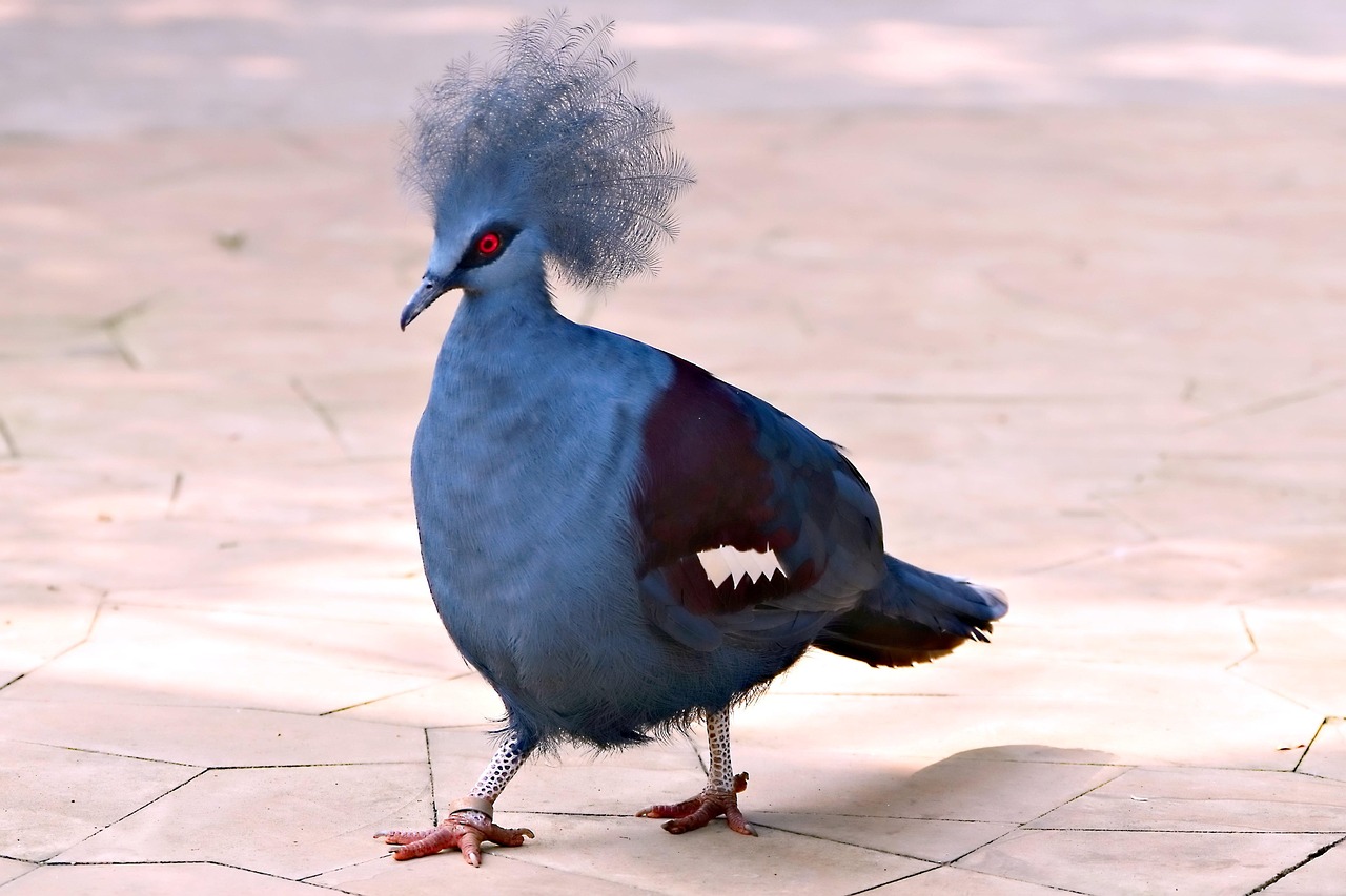 Protect Your Genetic Assets: A Guide to GPS for Pigeon Safety