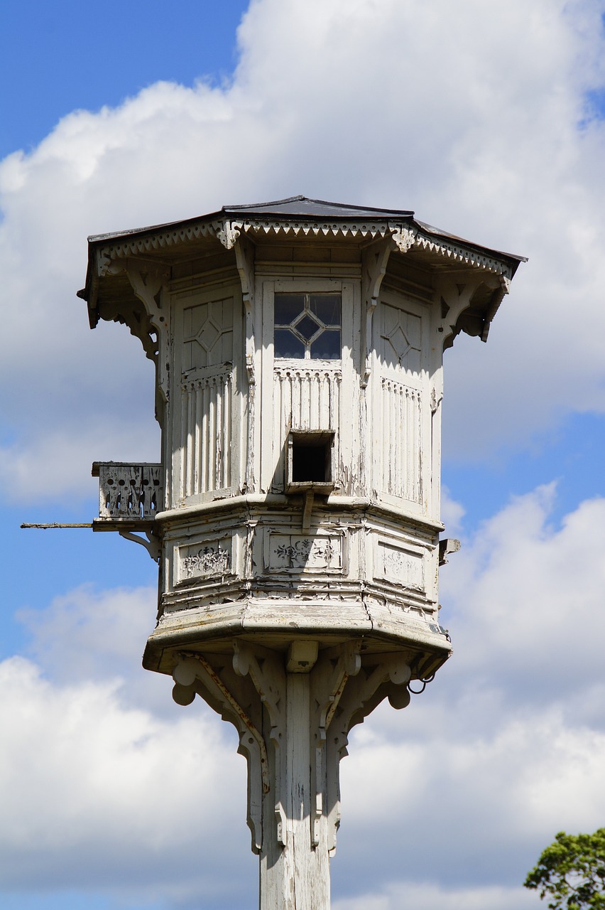 Ultimate Weekly Race Supplements Schedule for Pigeon Fitness