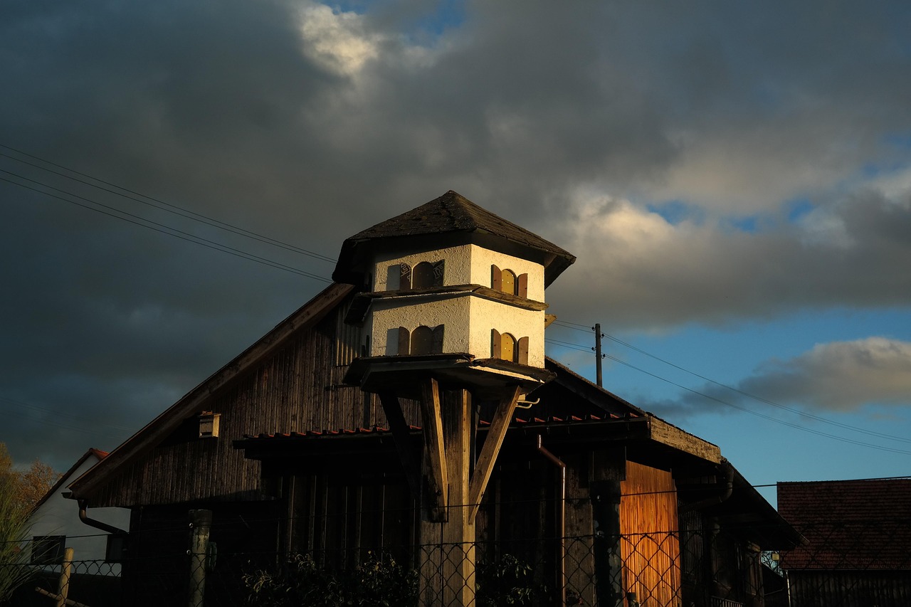 Old German Owl Standards: A Detailed Guide with Arab Market Examples